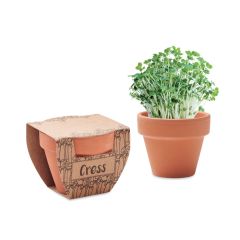 CRESS POT Terracotta Cress Seeds