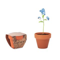 FORGET ME NOT Flower Grow Your Own Kit With Terracotta Pot