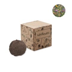 BOMBI Wild Flower Growing Kit In Eco Gift Box