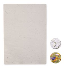 ASIDI A4 Recycled Seed Paper Wild Flowers